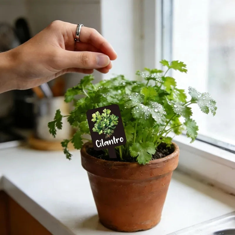 Etiquetas de Plantas Acrílicas Impermeables Set de 12