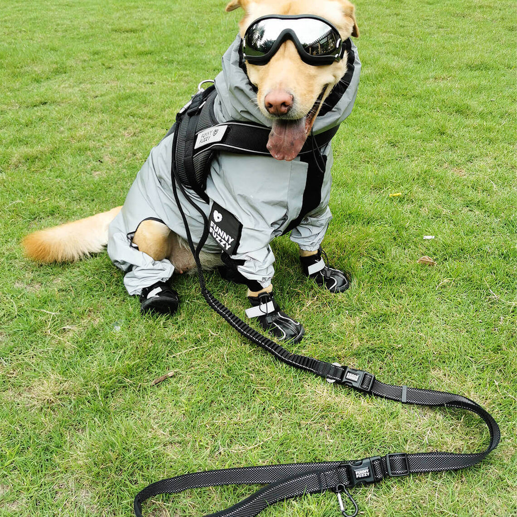 Skanto | Chaqueta de lluvia para perros cool, impermeable y para todo clima