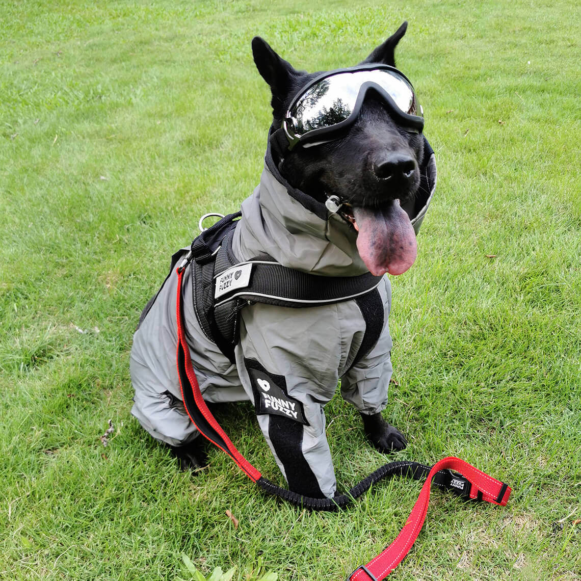 Skanto | Chaqueta de lluvia para perros cool, impermeable y para todo clima