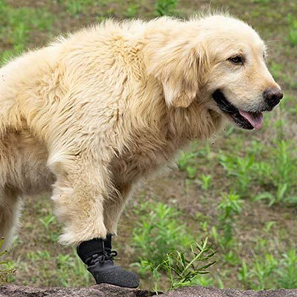Botas para perros impermeables y transpirables para caminar y correr al aire libre