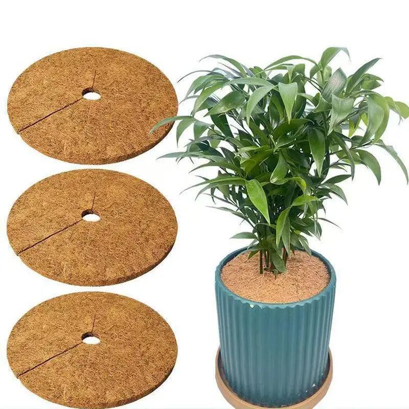 Inserto para macetas de fibra de coco redondo 3 piezas