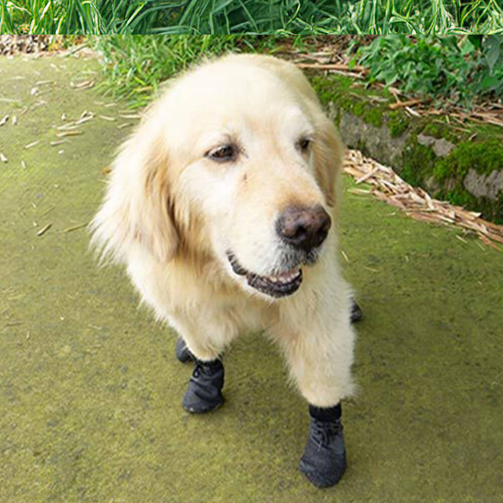 Botas para perros impermeables y transpirables para caminar y correr al aire libre