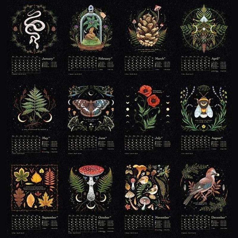 Meryn - Calendario Lunar del Bosque Oscuro | 50% de Descuento