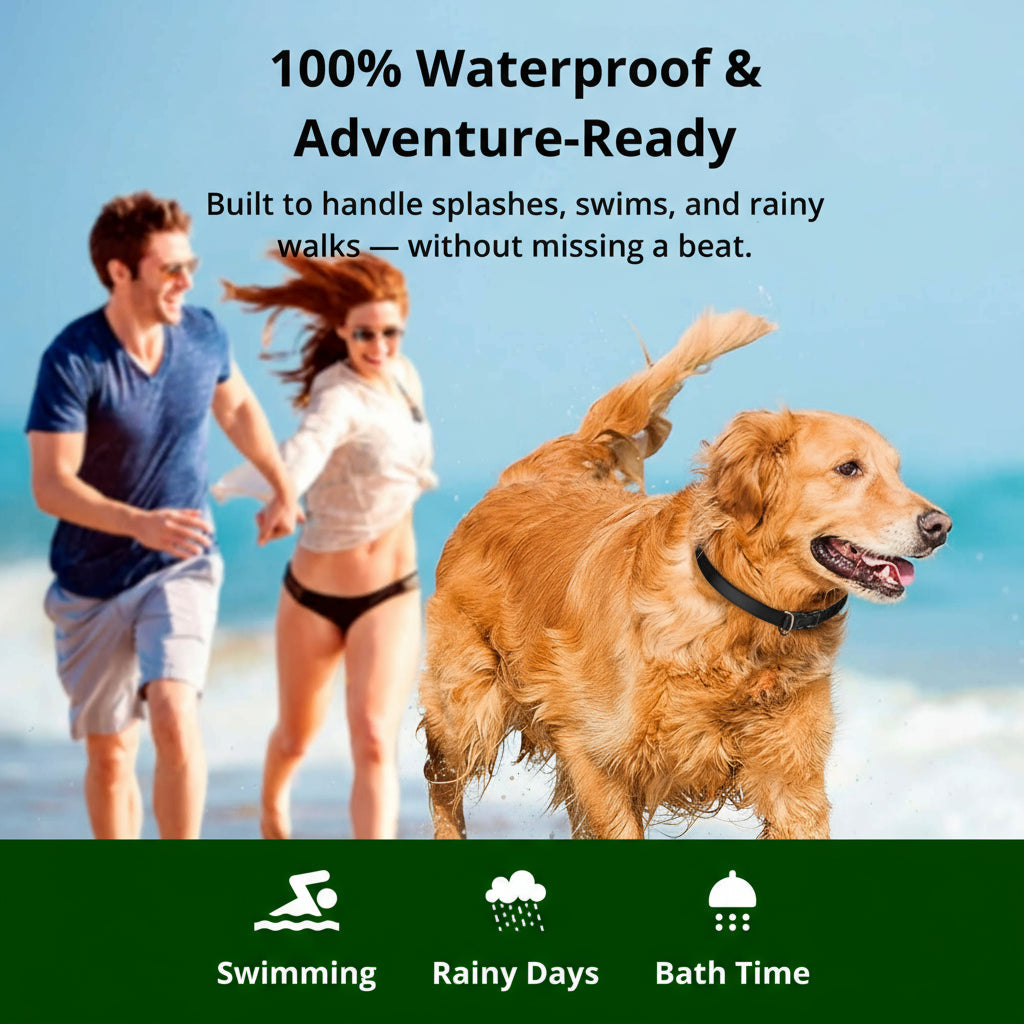 Kalsten | Collar de Entrenamiento para Perros Impermeable de 1000m | Recargable, Control Remoto y Ajustable para Perros Pequeños, Medianos y Grandes