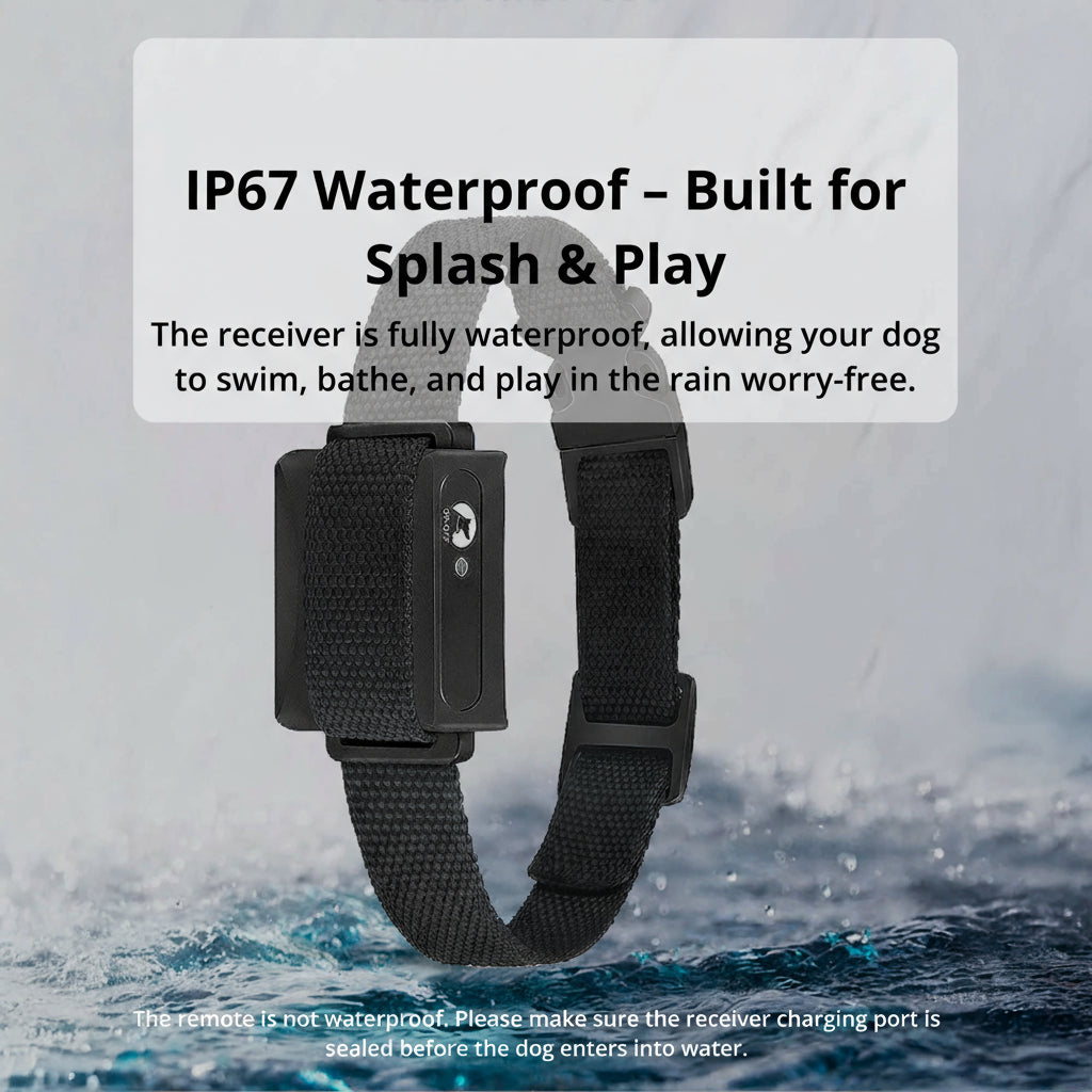 Kalsten | Collar de Entrenamiento para Perros Impermeable de 1000m | Recargable, Control Remoto y Ajustable para Perros Pequeños, Medianos y Grandes