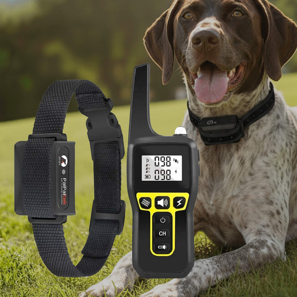 Kalsten | Collar de Entrenamiento para Perros Impermeable de 1000m | Recargable, Control Remoto y Ajustable para Perros Pequeños, Medianos y Grandes