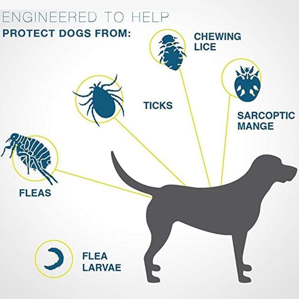 SafeGuard - Collar Antipulgas y Antitijeras para Perros y Gatos | 8 Meses de Protección