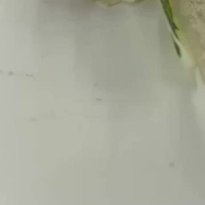GoldenTier 3-Niveles Frutero – Elegante y Práctico