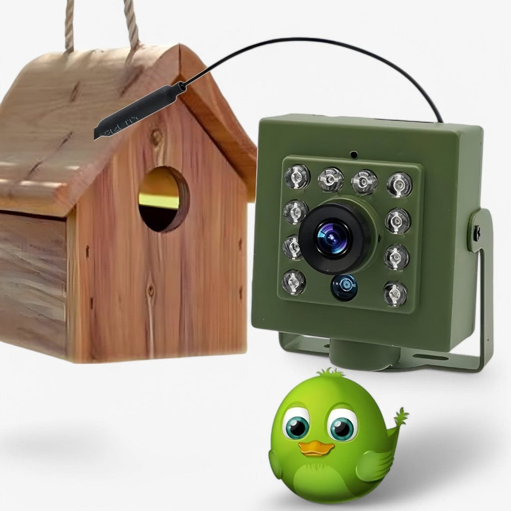 WILDSPY - Cámara de Vida Silvestre 1080p HD con Detección de Movimiento AI y Visión Nocturna