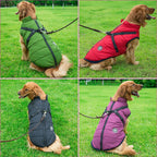 PawGuard - Chaqueta para Perros Protección Completa del Cuerpo con Arnés Incorporado para Comodidad en Todas las Condiciones Climáticas