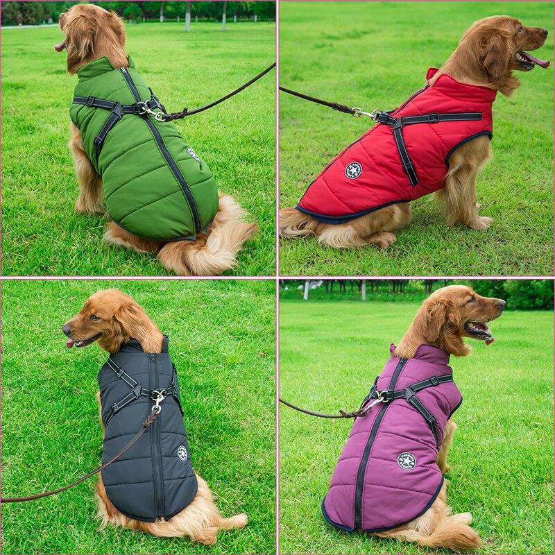 PawGuard - Chaqueta para Perros Protección Completa del Cuerpo con Arnés Incorporado para Comodidad en Todas las Condiciones Climáticas