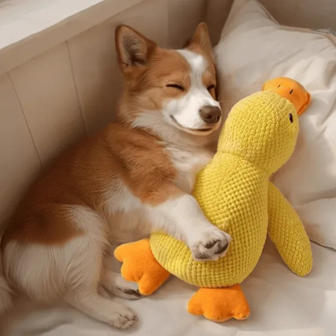 Juguete de peluche Pato para Perros
