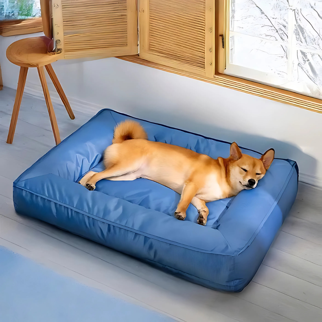 Cama ortopédica para perro