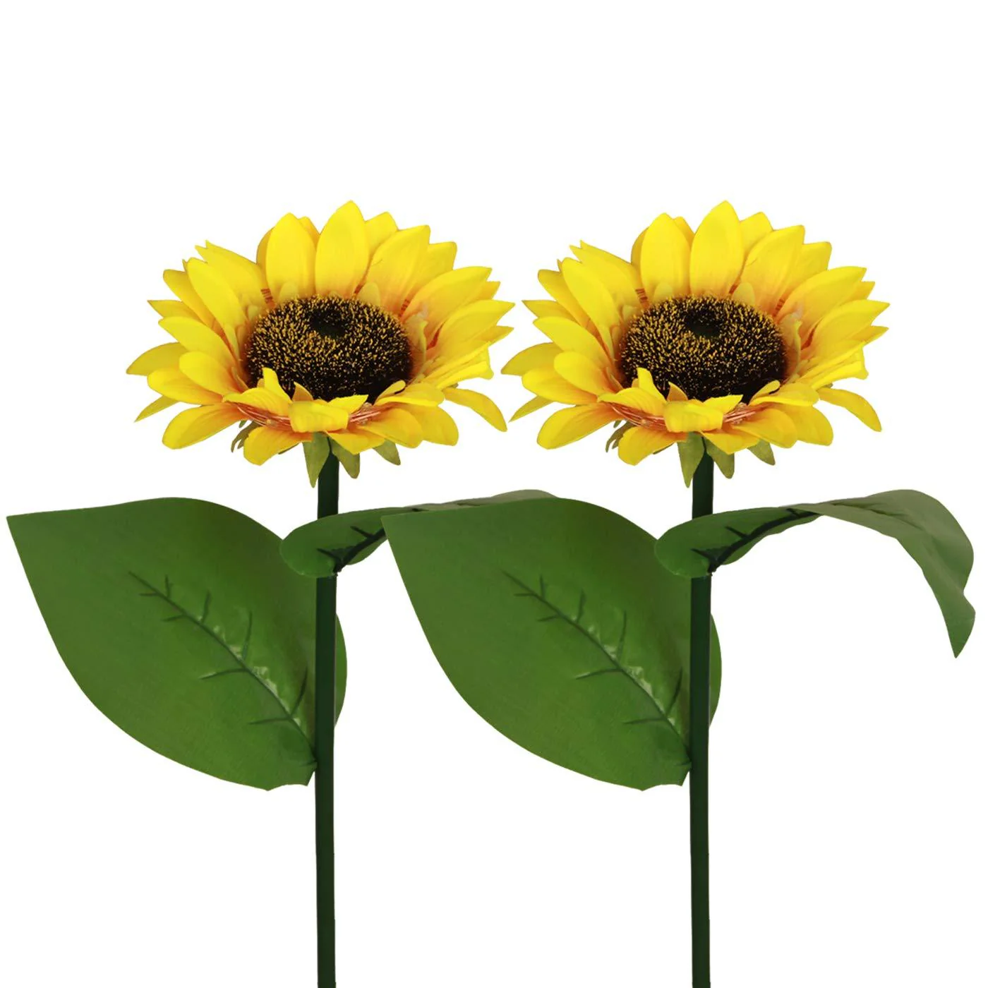 SunGlow — Lámparas de girasol solar | 50% DESCUENTO