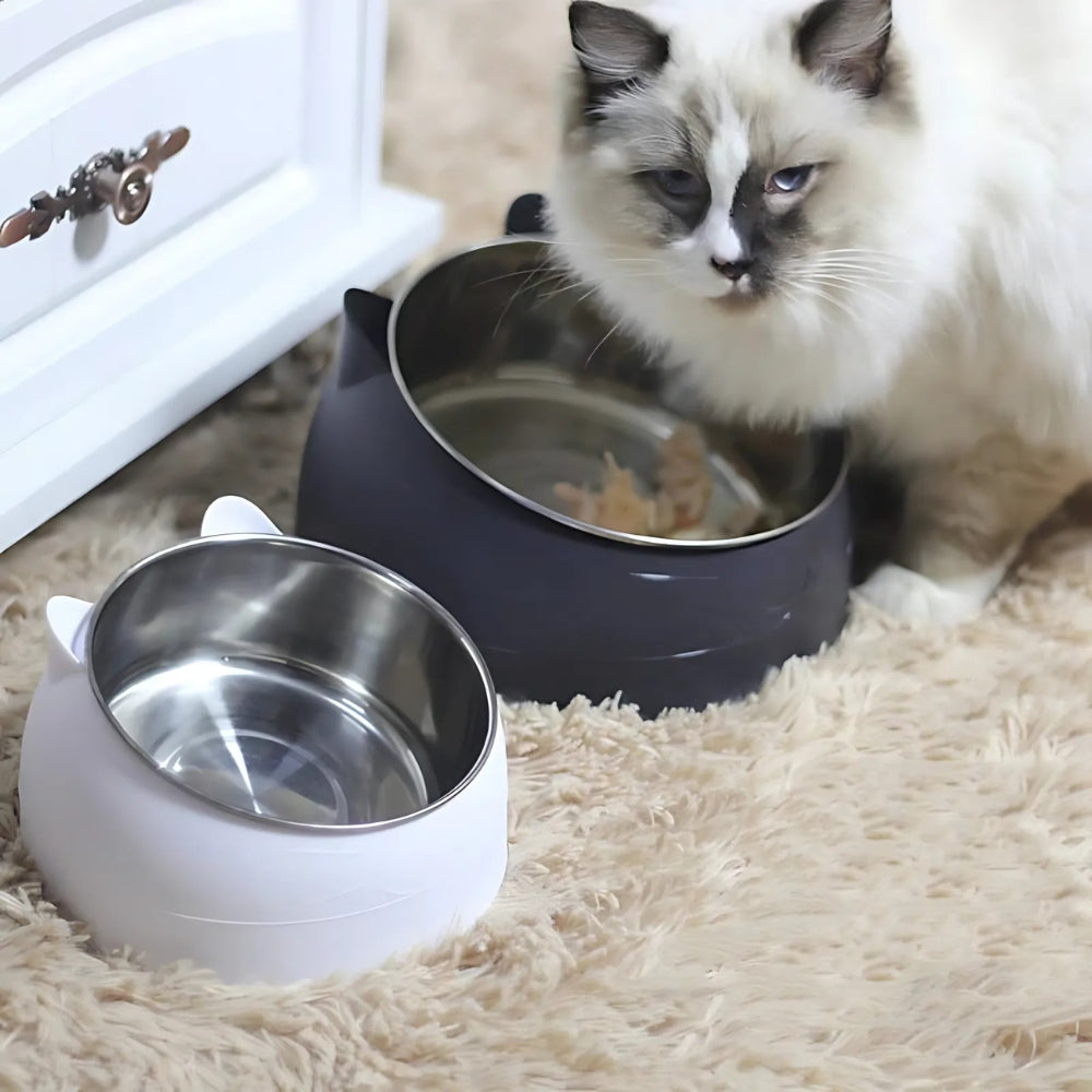 Tazón de Alimentación para Mascotas PurrfectAngle