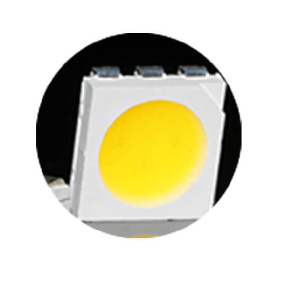 Luz LED Decorativa Solar Impermeable Flotante | Brehn