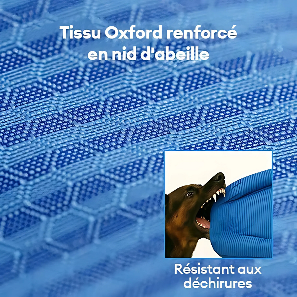 Cama ortopédica para perro