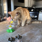 KatzenFit™ - Juguete Interactivo para Gatos | 1+1 GRATIS
