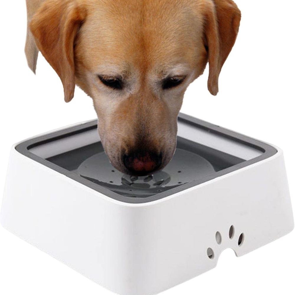 Cuenco de Agua para Perros de Gran Capacidad y Antidesbordamiento