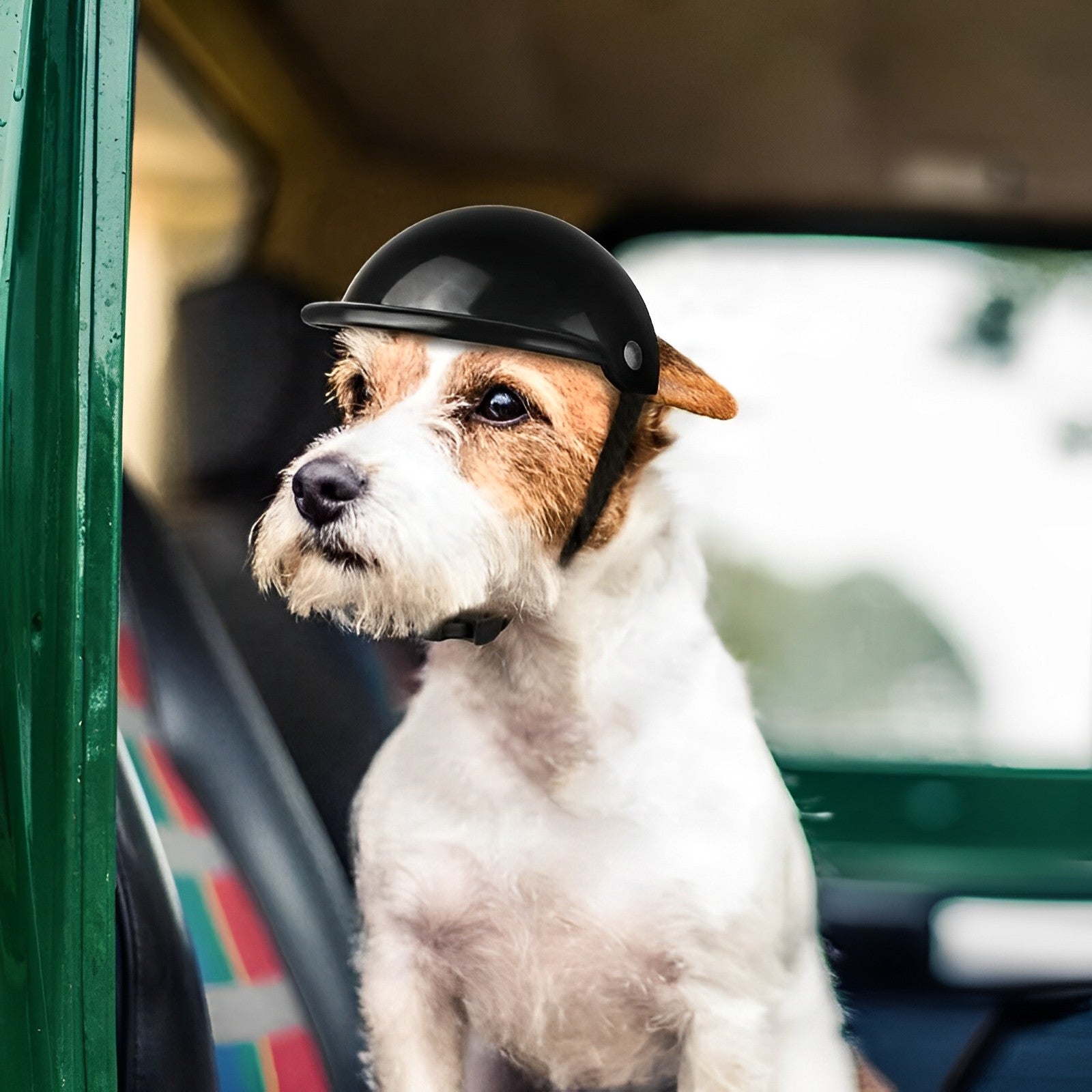 Casco y Gafas de Motocicleta para Perros