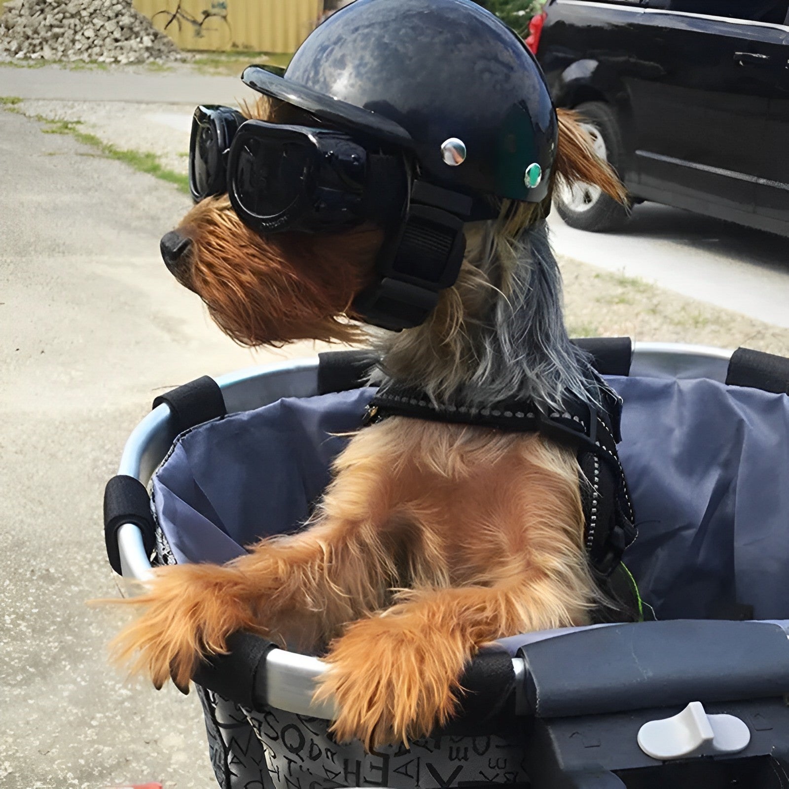 Casco y Gafas de Motocicleta para Perros