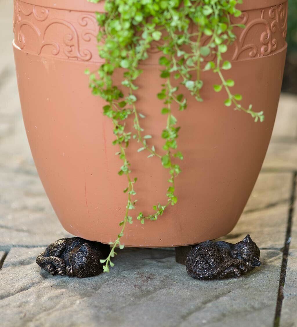 Kalsten | Patas de Maceta para Plantas