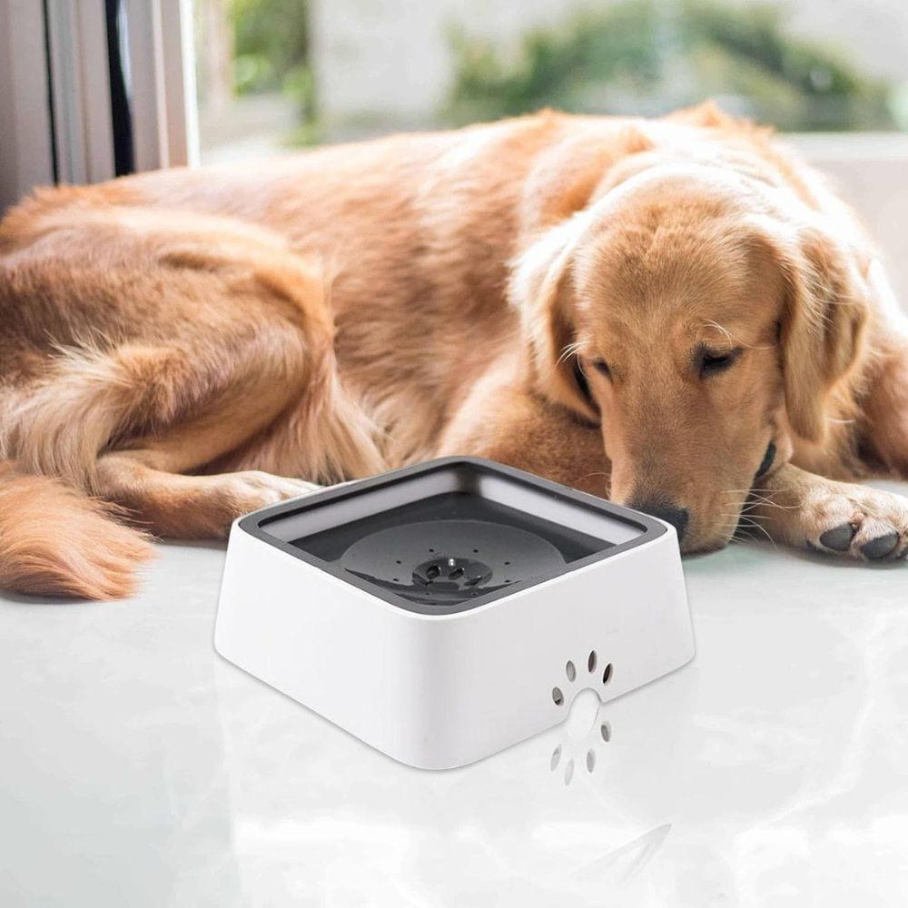 Cuenco de Agua para Perros de Gran Capacidad y Antidesbordamiento