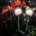 Luz de Globo LED Solar de Alambre de Aluminio Diente de León Impermeable para Jardín