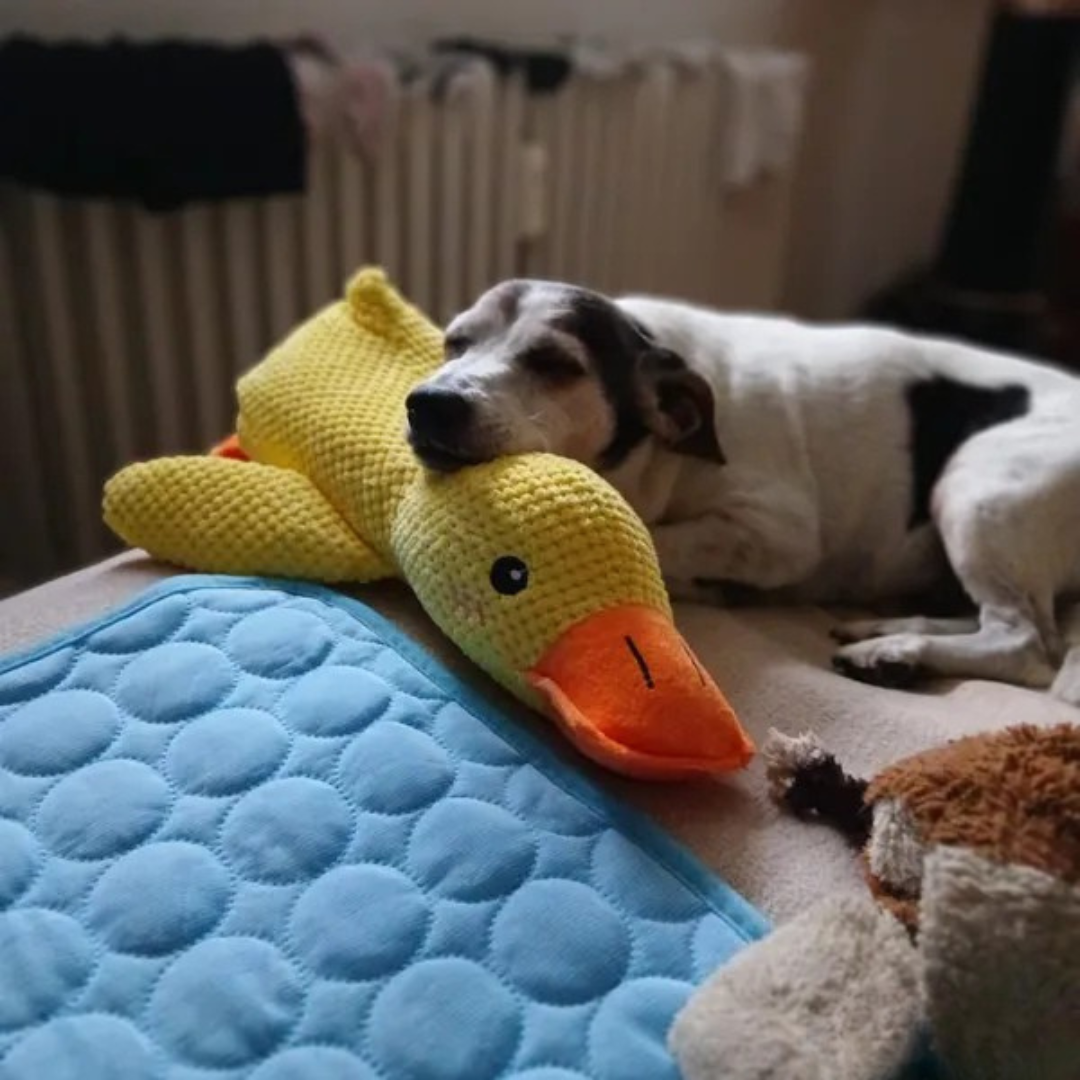 Juguete de peluche Pato para Perros