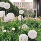 Luz de Globo LED Solar de Alambre de Aluminio Diente de León Impermeable para Jardín