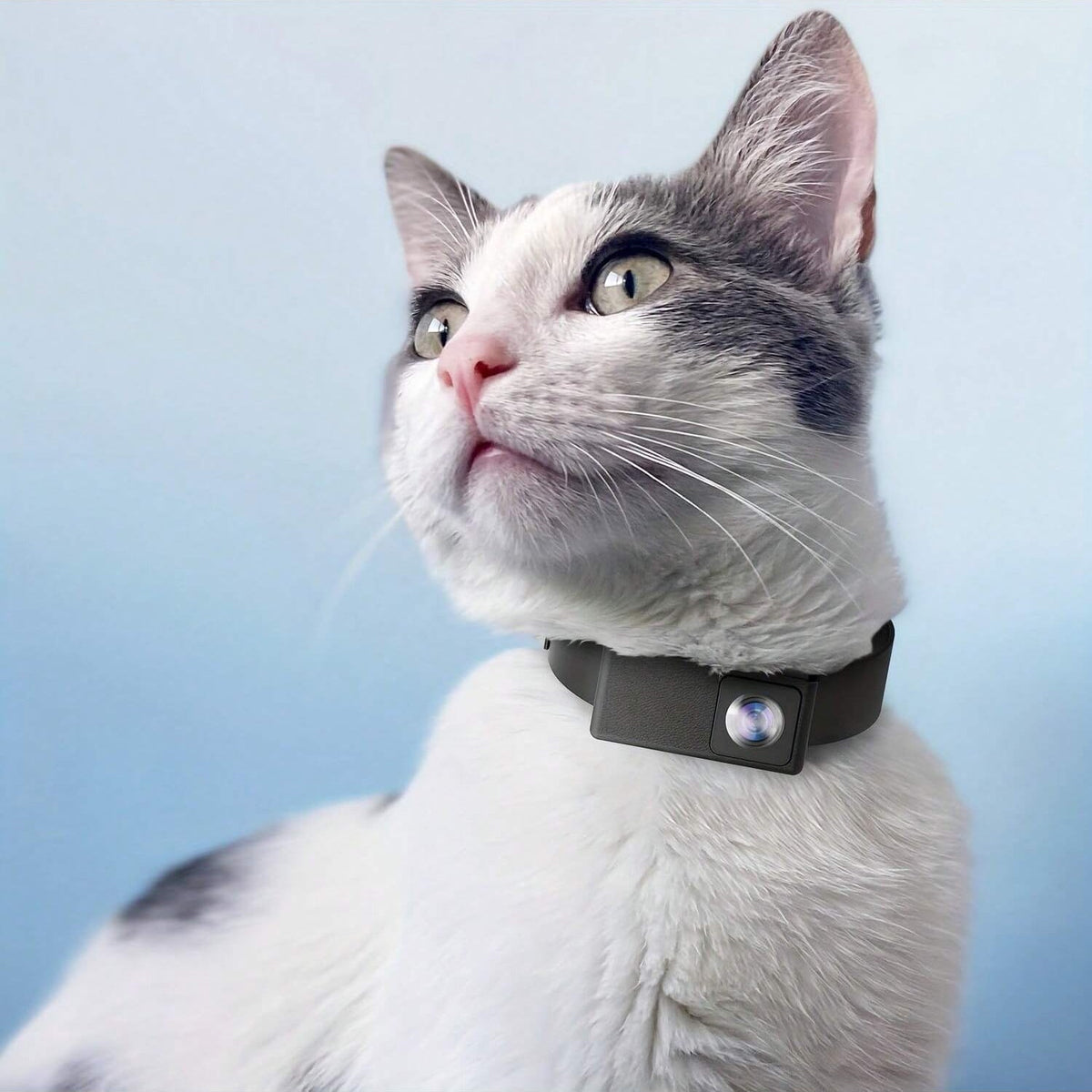 BowLift | Cámara Portátil para Mascotas de 160° para Gatos y Perros con Video en 1080P HD – 32GB