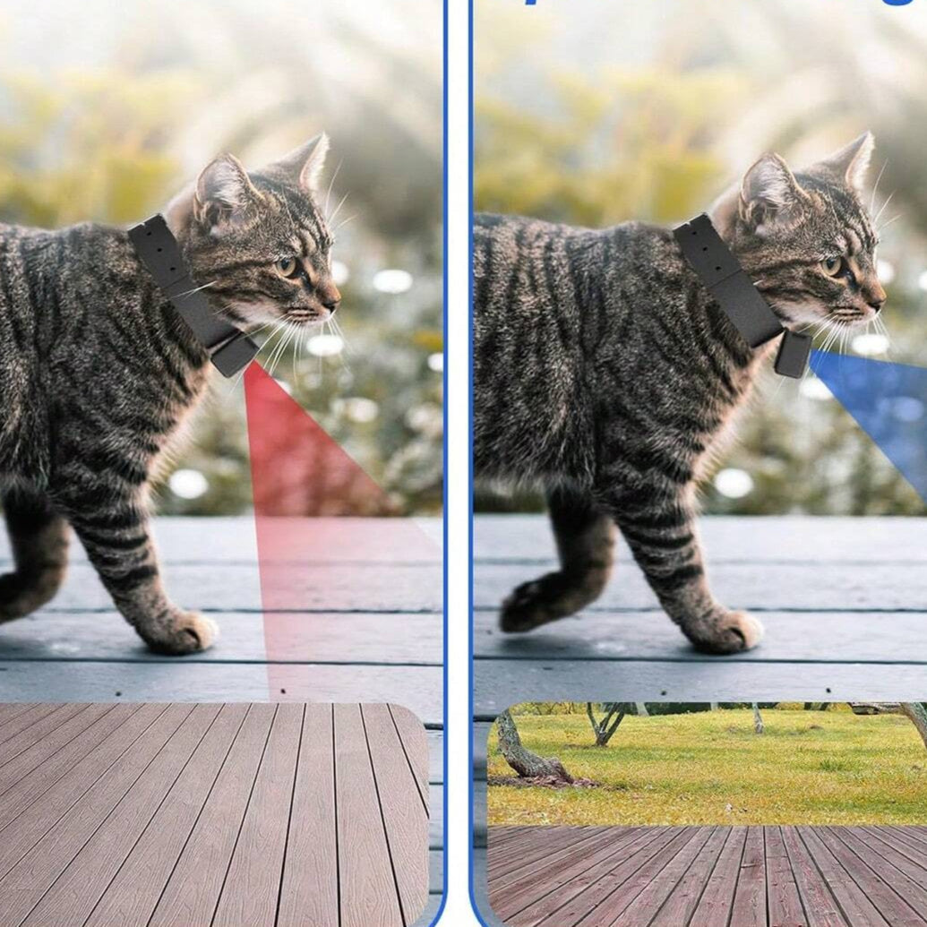 BowLift | Cámara Portátil para Mascotas de 160° para Gatos y Perros con Video en 1080P HD – 32GB