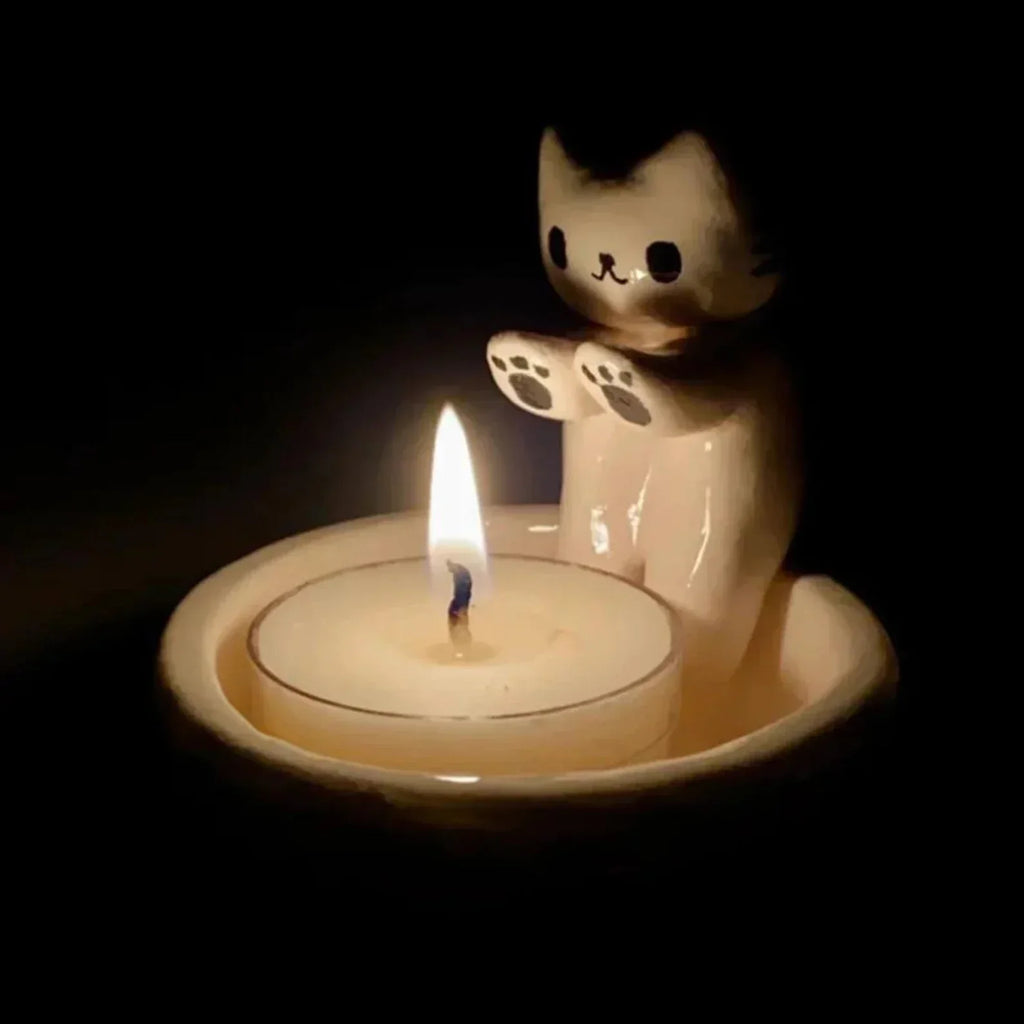 KatzenGlanz - Traiga un toque de felicidad felina  | 50% DESCUENTO