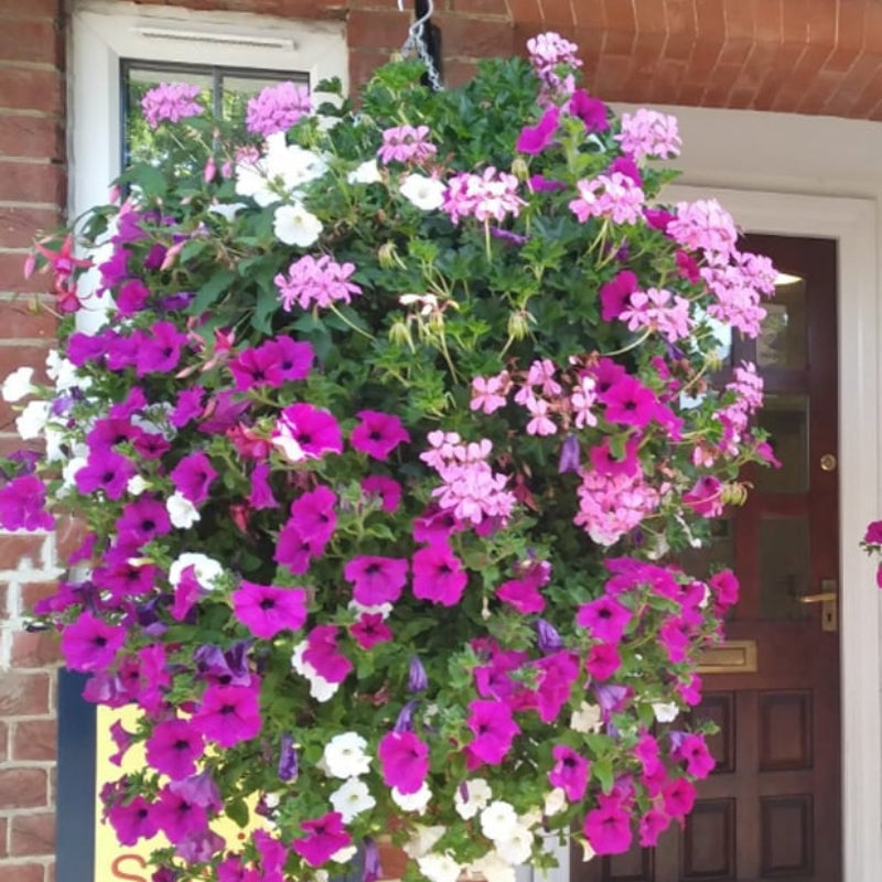 BloomHaven – Conjunto de Flores de Caléndula Artificiales con Cuerda para Colgar