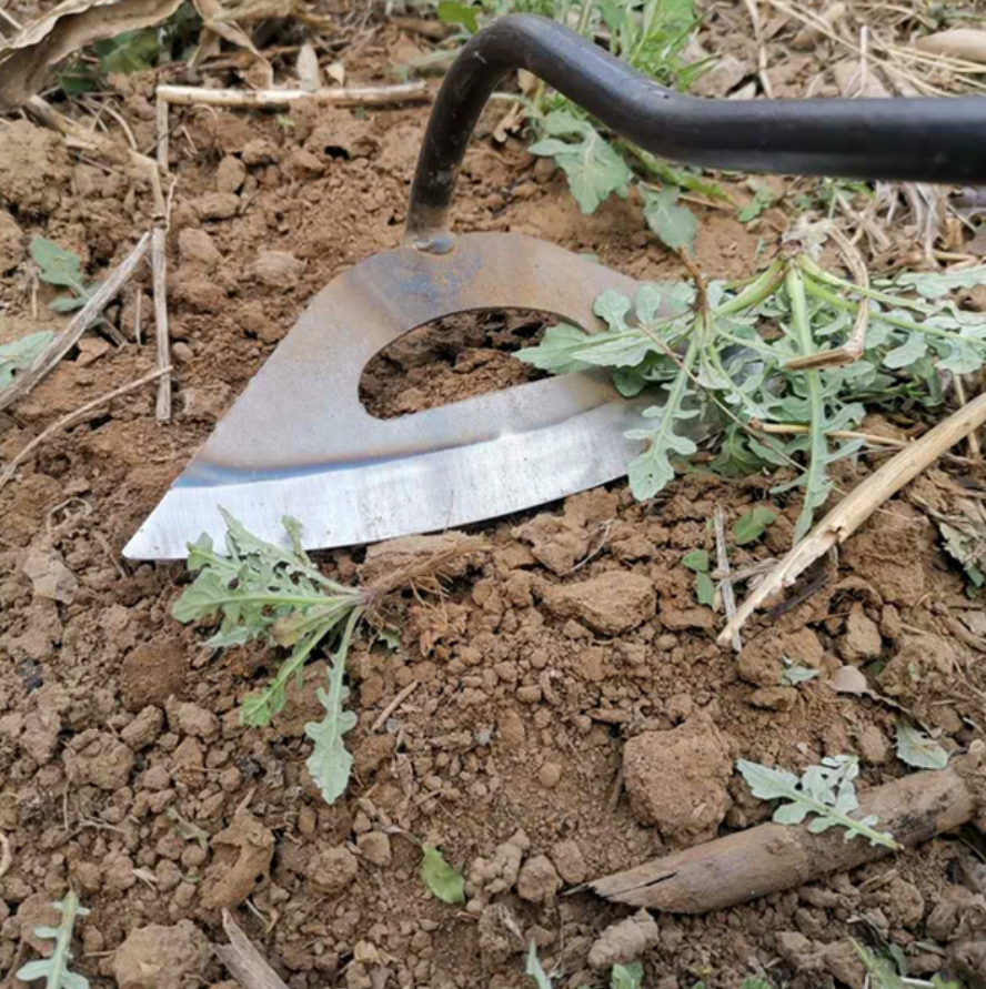 Azada Hueca de Acero Completo para Jardinería