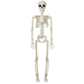 BoneBuddy – Esqueleto a Tamaño Real para Halloween y Decoración de Temporada