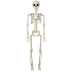 BoneBuddy – Esqueleto a Tamaño Real para Halloween y Decoración de Temporada