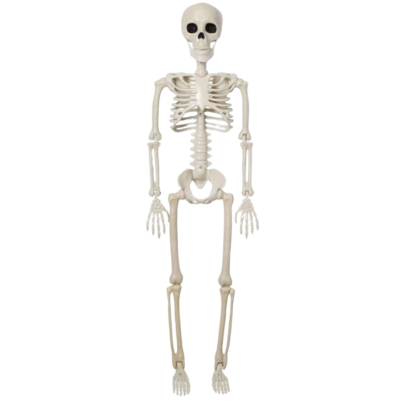 BoneBuddy – Esqueleto a Tamaño Real para Halloween y Decoración de Temporada