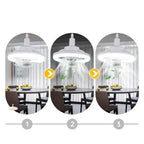 Ventilador de Techo Ajustable con Luz