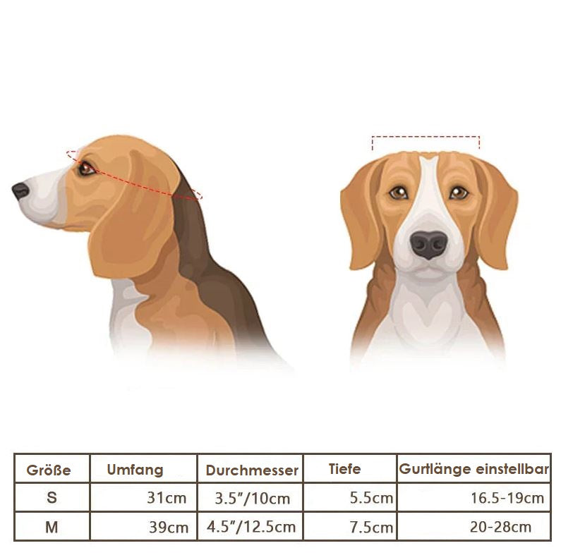 Casco y Gafas de Protección para Perros – Moderno y Seguro