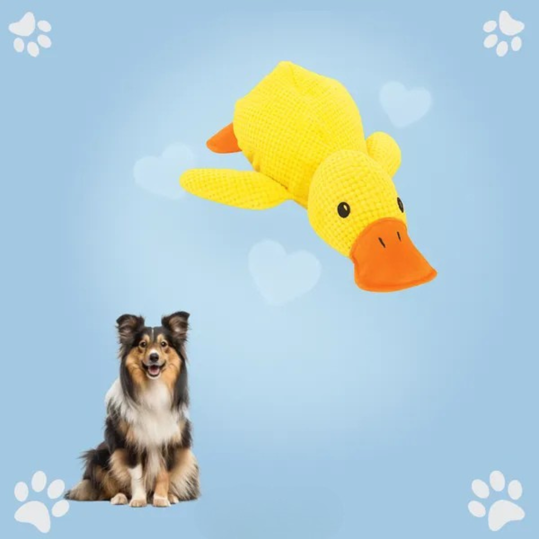 Juguete de peluche Pato para Perros