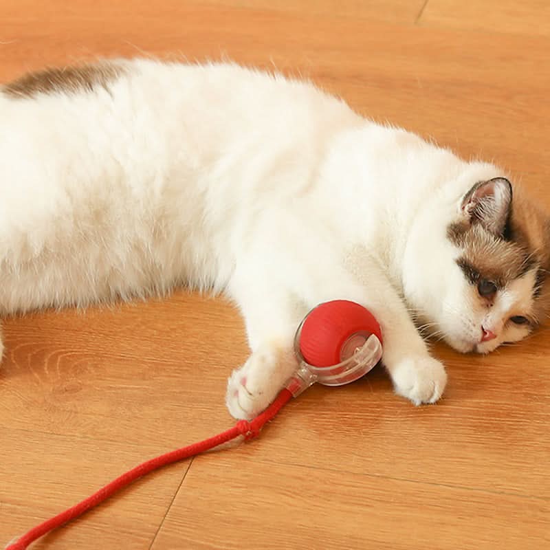 Juguete rebotante para gatos activos y curiosos