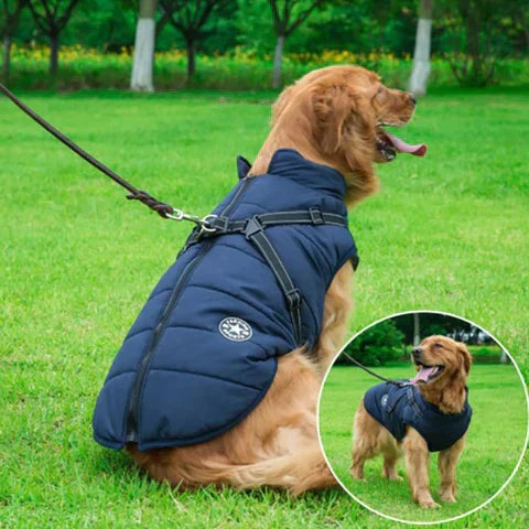 PawGuard - Chaqueta para Perros Protección Completa del Cuerpo con Arnés Incorporado para Comodidad en Todas las Condiciones Climáticas