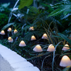 MushroomGlow | Luces de Cadena Solares Decorativas en Forma de Hongo para Decoración de Patio o Jardín
