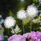 Luz de Globo LED Solar de Alambre de Aluminio Diente de León Impermeable para Jardín