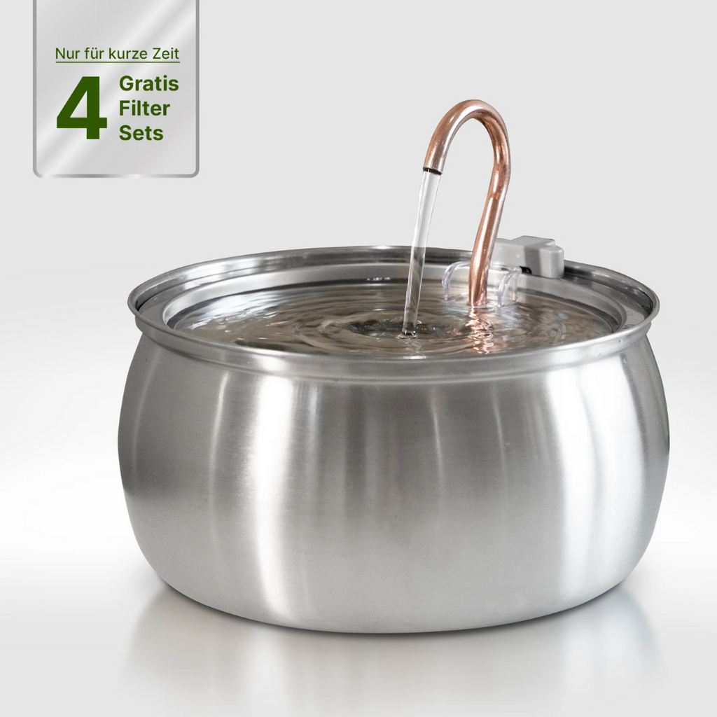 Fuente para gatos de acero inoxidable