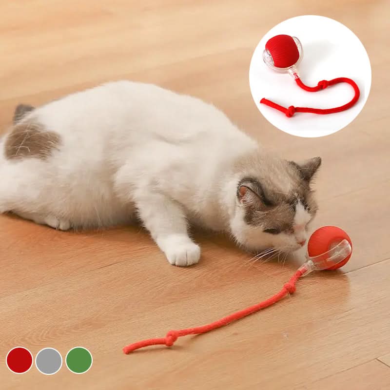 Juguete rebotante para gatos activos y curiosos