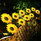 SunGlow — Lámparas de girasol solar | 50% DESCUENTO