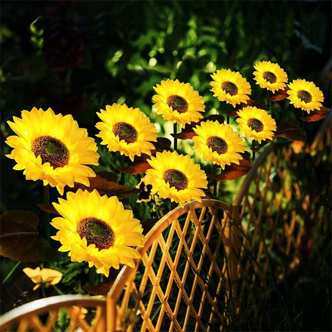SunGlow — Lámparas de girasol solar | 50% DESCUENTO