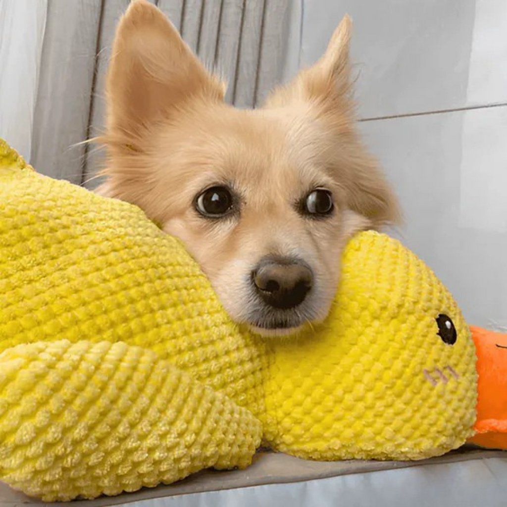 Juguete de peluche Pato para Perros